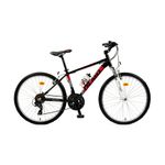 Olmo safari 2024 260