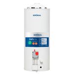 TERMOTANQUE-SEÑORIAL-A-GAS-TSZ-50-ALTA-RECUPERACION-REVERSIBLE--50L