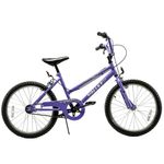 BICICLETA-HALLEY-19067-CROSS-STANDART-R20--OBELIX-D