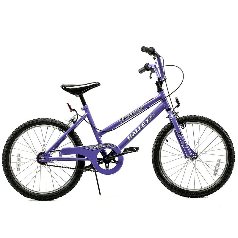 BICICLETA-HALLEY-19067-CROSS-STANDART-R20--OBELIX-D