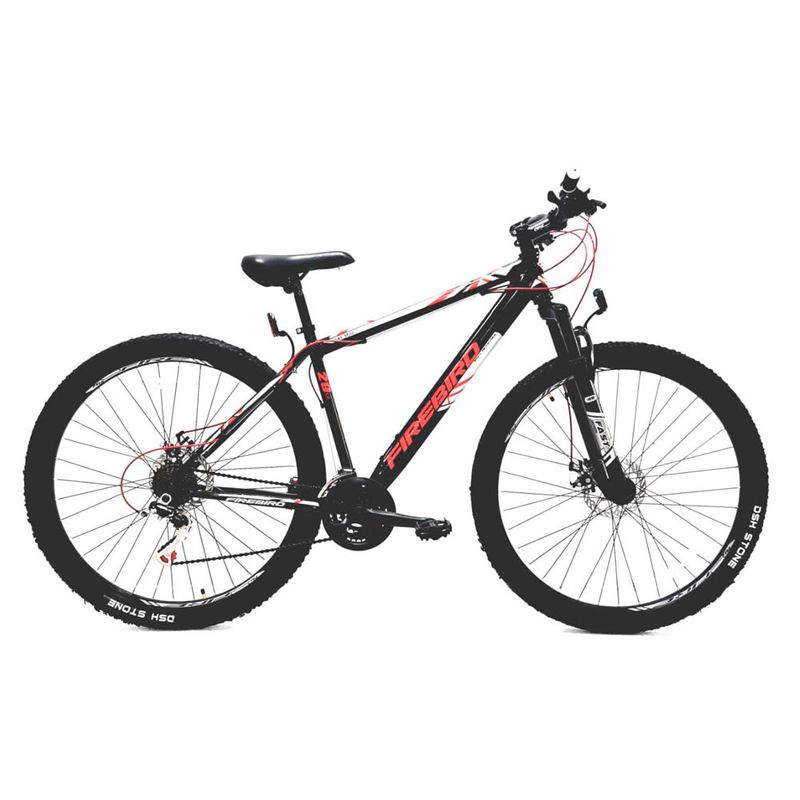 BICICLETA-FIREBIRD-MTB-R29-20---BIN29-21VAC