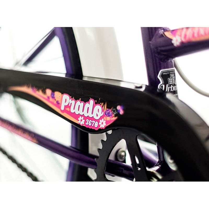 BICICLETA-PASEO-PRADO-GRIBOM-R24