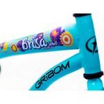 BICICLETA-PASEO-BRISA-GRIBOM