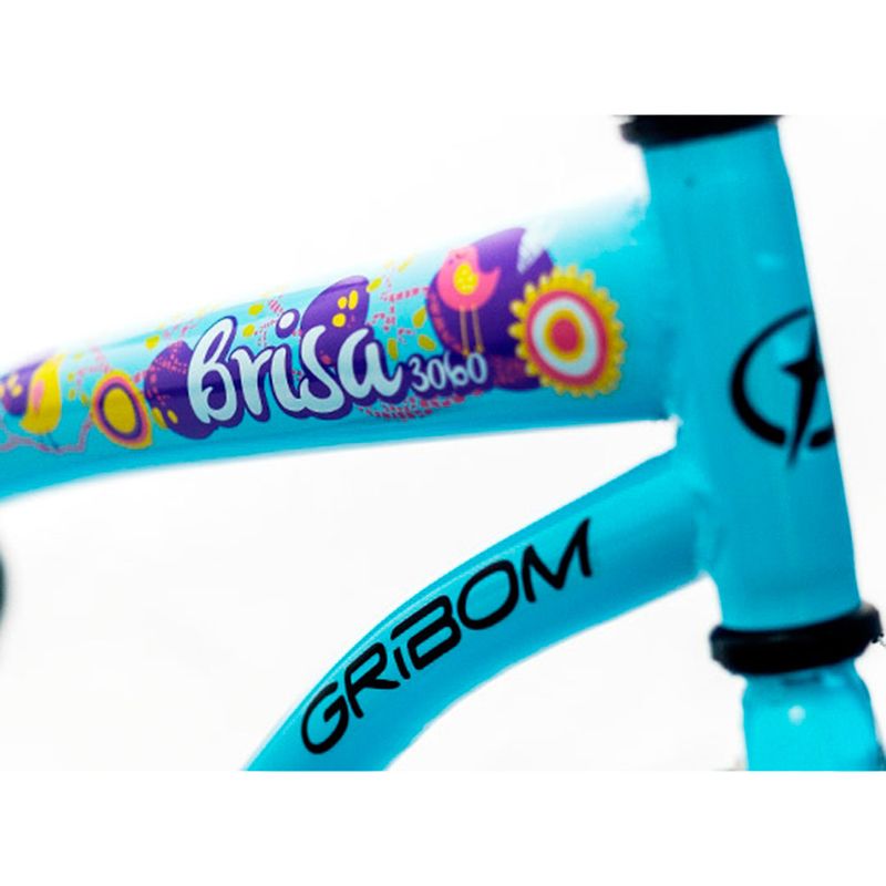 BICICLETA-PASEO-BRISA-GRIBOM