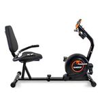 BICI-RANDERS-ARG-2535-HORIZONTAL-RECUMBET
