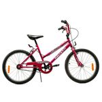 BICICLETA-HALLEY-19067-CROSS-STANDART-R20--OBELIX-D