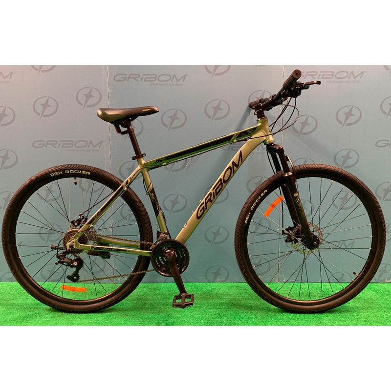BICI-GRIBOM-MTB-R29-19--2953L-ASPEN-ALUM
