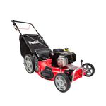 CORT-CESPED-PETRI-3004007-PROFESIONAL-675-ByS-3-EN-1