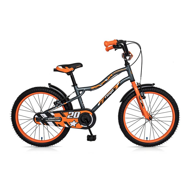 BICICLETA-GRIBOM-2320-20--FLOYD