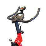 BICI-RANDERS-ARG-845SP-SPINNING-120-KG-ROJA