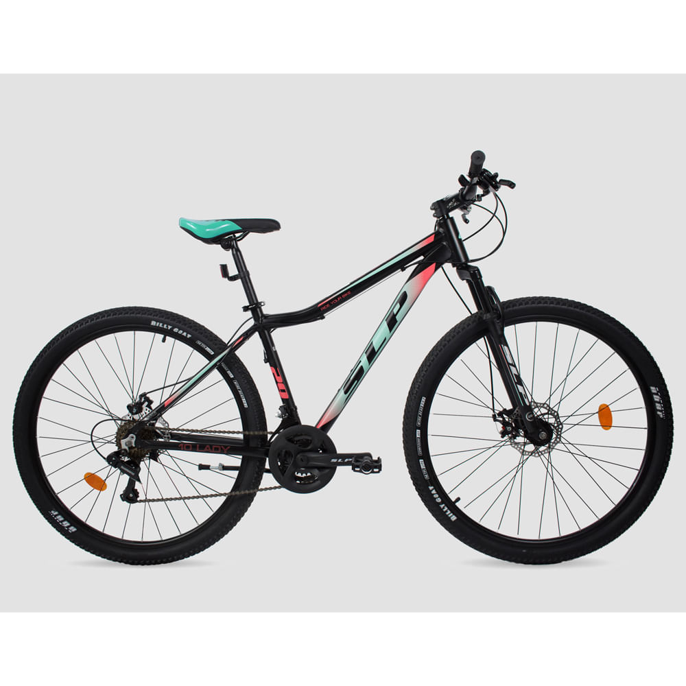 Bicicleta Slp Precio Bici Mountain Bike Rodado 29 Discos Bici Pro