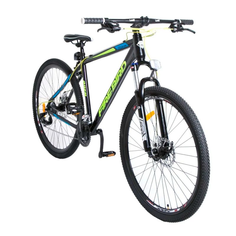 BICI-FIREBIRD-MTB-R29-20--BIN29-21MGPP-VARON
