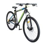 BICI-FIREBIRD-MTB-R29-16--BIN29-21MGPP-DAMA