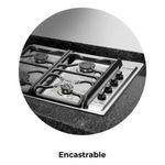 ANAFE-LONGVIE--A6600RG-ENCAST-FUND-GRAF