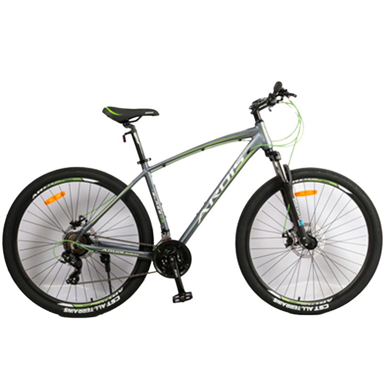BICI-ARDIS-MTB-R275-19--ARBL02-19GG-BLAZE-GRAY-GREEN
